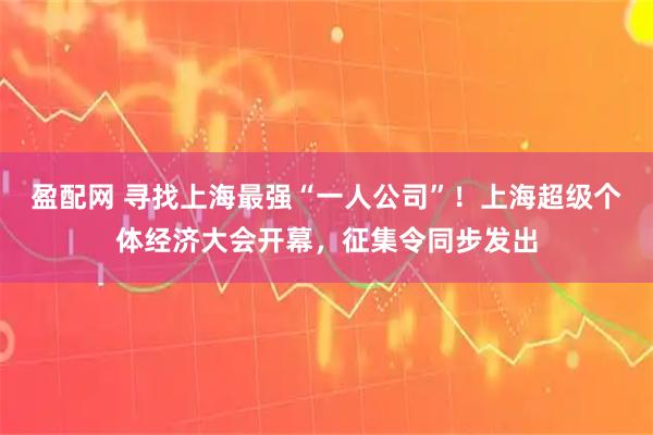 盈配网 寻找上海最强“一人公司”！上海超级个体经济大会开幕，征集令同步发出